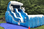 Dolphin 18FT Water Slide